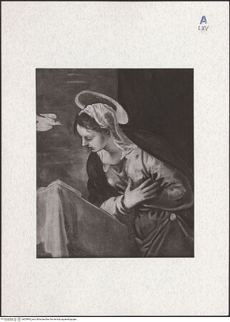 Vorderseite von bh303865_recto