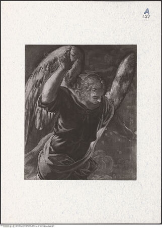 Vorderseite von bh303866_recto