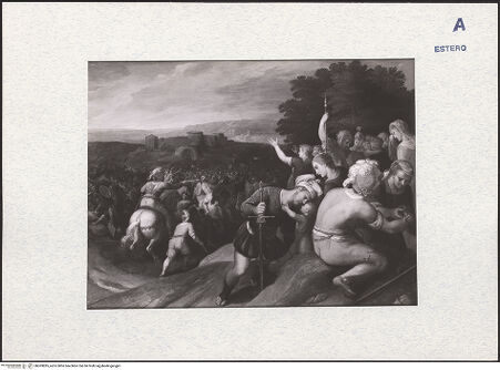 Vorderseite von bh303895_recto