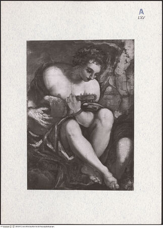 Vorderseite von bh303912_recto