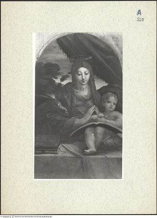 Vorderseite von bh304183_recto