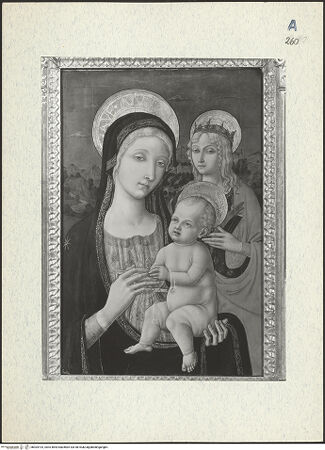 Vorderseite von bh304193_recto