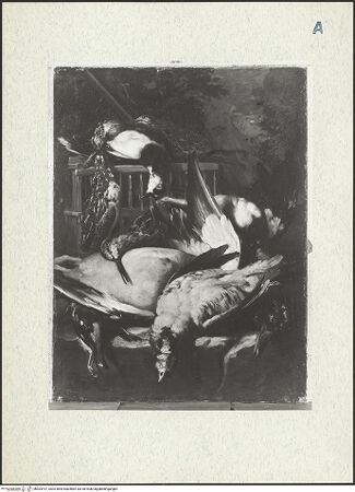 Vorderseite von bh304197_recto