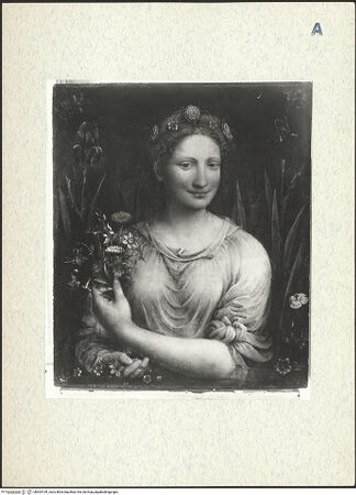 Vorderseite von bh304199_recto