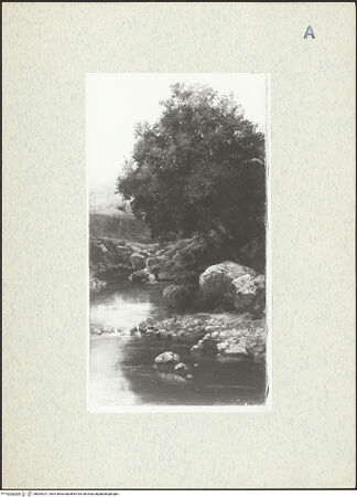 Vorderseite von bh304227_recto