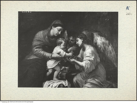 Vorderseite von bh304278_recto