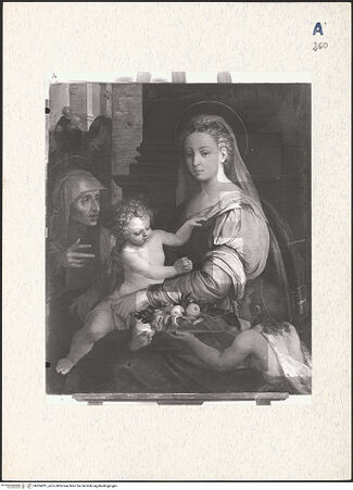 Vorderseite von bh304291_recto