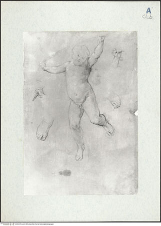 Vorderseite von bh304295_recto