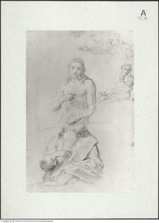 Vorderseite von bh304296_recto