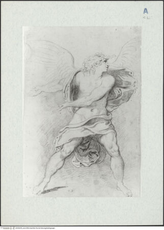 Vorderseite von bh304299_recto