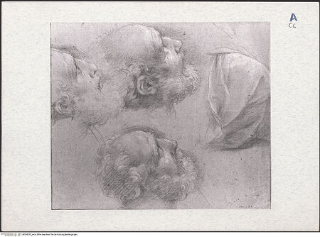 Vorderseite von bh304332_recto