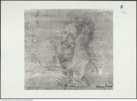 Vorderseite von bh304338_recto