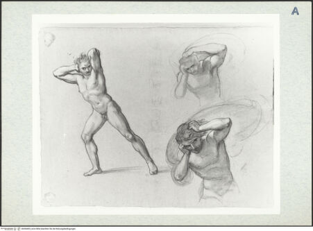 Vorderseite von bh304403_recto