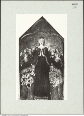 Vorderseite von bh304474_recto