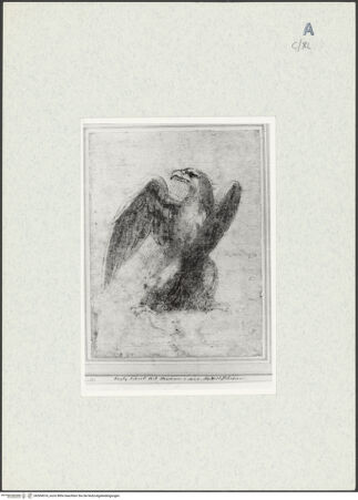 Vorderseite von bh304574_recto