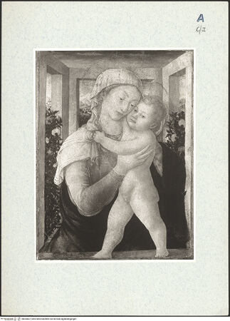 Vorderseite von bh304607_recto