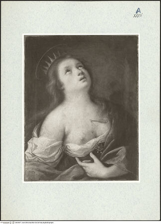 Vorderseite von bh304671_recto