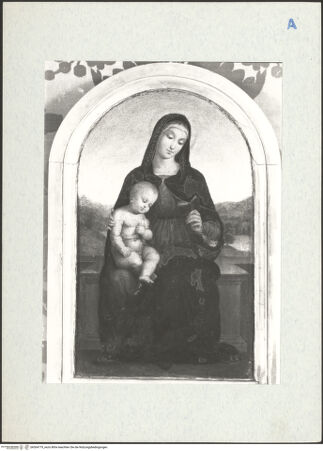 Vorderseite von bh304779_recto