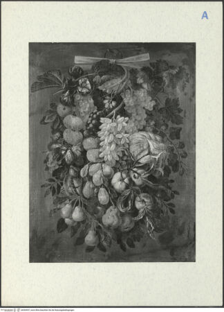 Vorderseite von bh304957_recto