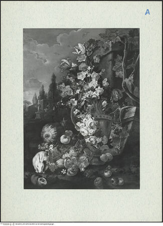 Vorderseite von bh304959_recto