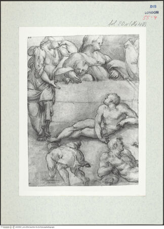 Vorderseite von bh305061_recto