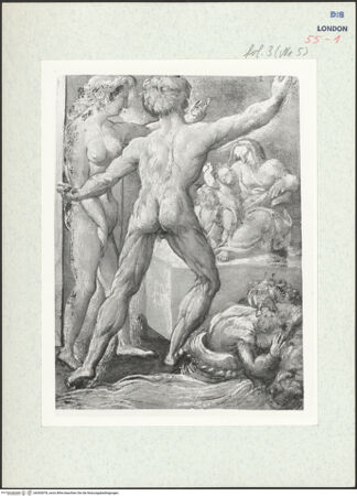 Vorderseite von bh305078_recto