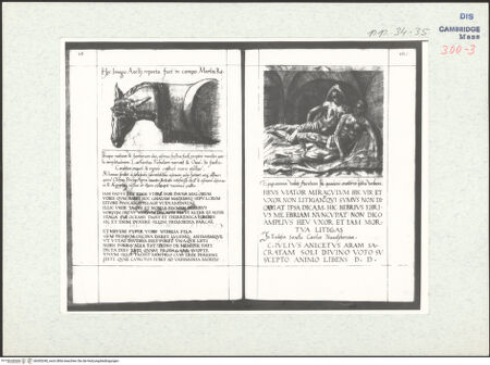 Vorderseite von bh305240_recto