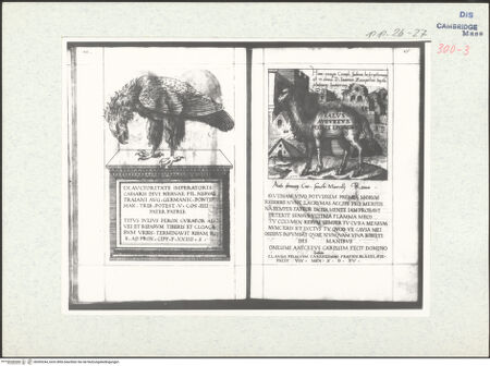 Vorderseite von bh305244_recto