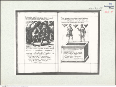 Vorderseite von bh305247_recto