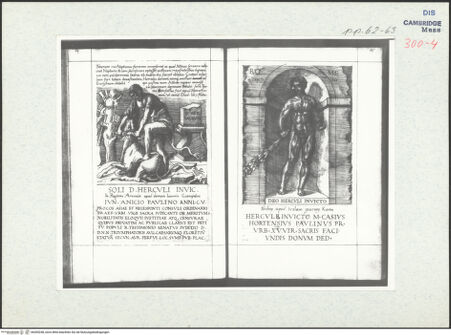 Vorderseite von bh305248_recto