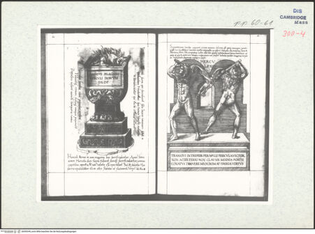 Vorderseite von bh305249_recto