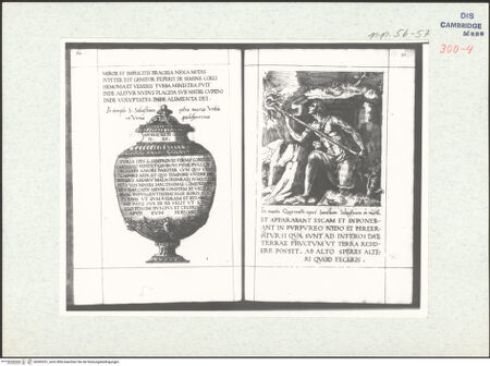 Vorderseite von bh305251_recto