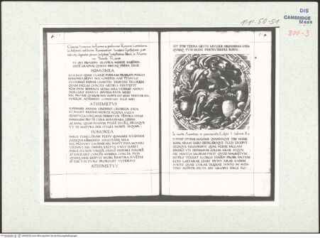 Vorderseite von bh305254_recto