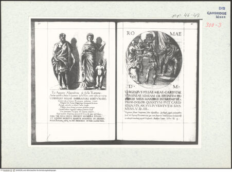 Vorderseite von bh305256_recto