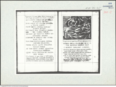 Vorderseite von bh305257_recto