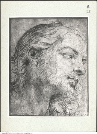 Vorderseite von bh305499_recto