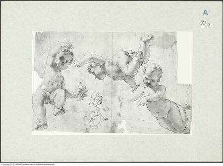 Vorderseite von bh305507_recto