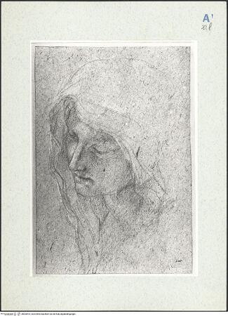 Vorderseite von bh305515_recto