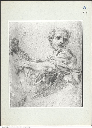 Vorderseite von bh305517_recto