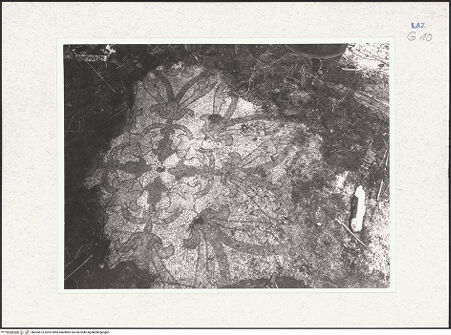 Vorderseite von bh305573_recto