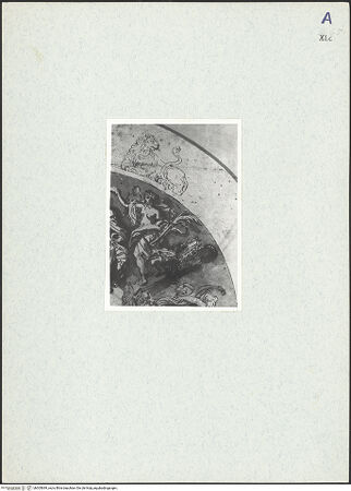 Vorderseite von bh305699_recto