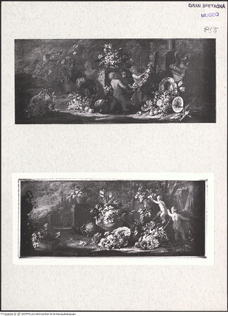 Vorderseite von bh305794_recto