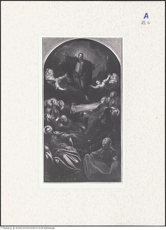 Vorderseite von bh305806_recto