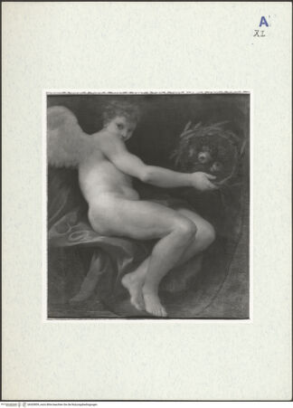 Vorderseite von bh305859_recto