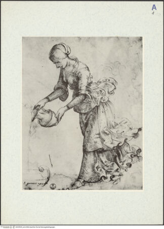 Vorderseite von bh305949_recto