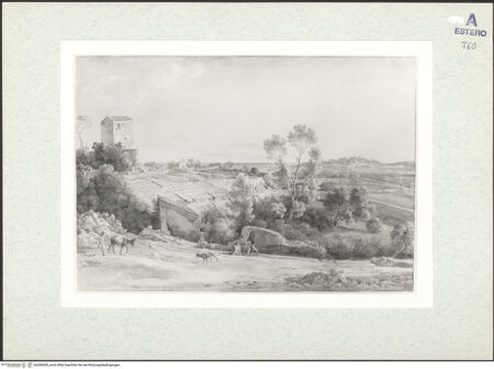 Vorderseite von bh306039_recto