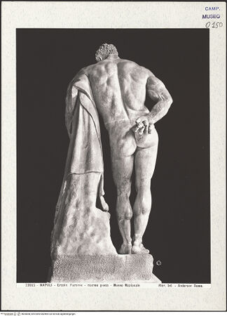 Vorderseite von Alinari [https://www.deutsche-digitale-bibliothek.de/content/lizenzen/rv-ez/] Herkules Farnese, Kopie nach einem Original (des Lysipp) der zweiten Hälfte des 4. Jahrhunderts v. Chr. - Rückseite, bh306068_recto. Foto.