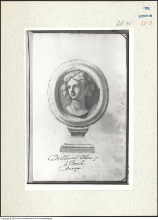 Vorderseite von Warburg Institute [https://www.deutsche-digitale-bibliothek.de/content/lizenzen/rv-ez/] Album CarpioMarmorrelief mit dem Porträt einer Nymphe - , bh306122_recto. Foto.