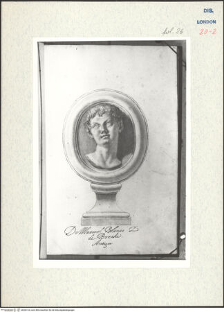 Vorderseite von Warburg Institute [https://www.deutsche-digitale-bibliothek.de/content/lizenzen/rv-ez/] Album CarpioMarmorrelief mit dem Porträt eines Satyr - , bh306124_recto. Foto.