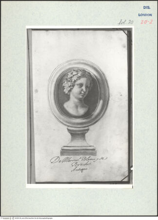 Vorderseite von Warburg Institute [https://www.deutsche-digitale-bibliothek.de/content/lizenzen/rv-ez/] Album CarpioMarmorrelief mit dem Porträt einer Nymphe - , bh306128_recto. Foto.
